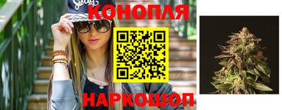 mdpv Новозыбков