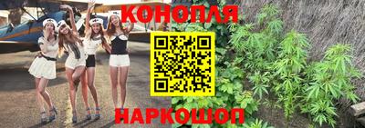mdpv Новозыбков