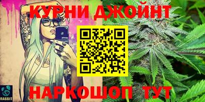 mdpv Новозыбков