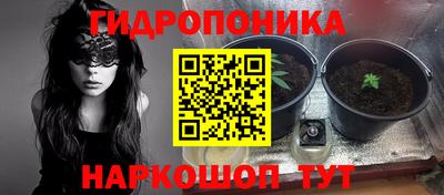 mdpv Новозыбков