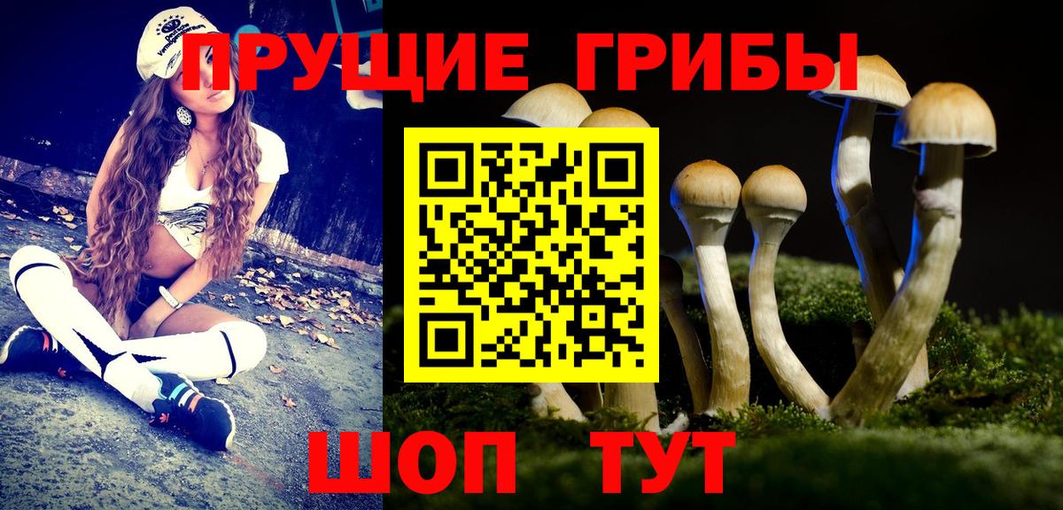 Галлюциногенные грибы Cubensis  Вход с VPN  Бахчисарай 