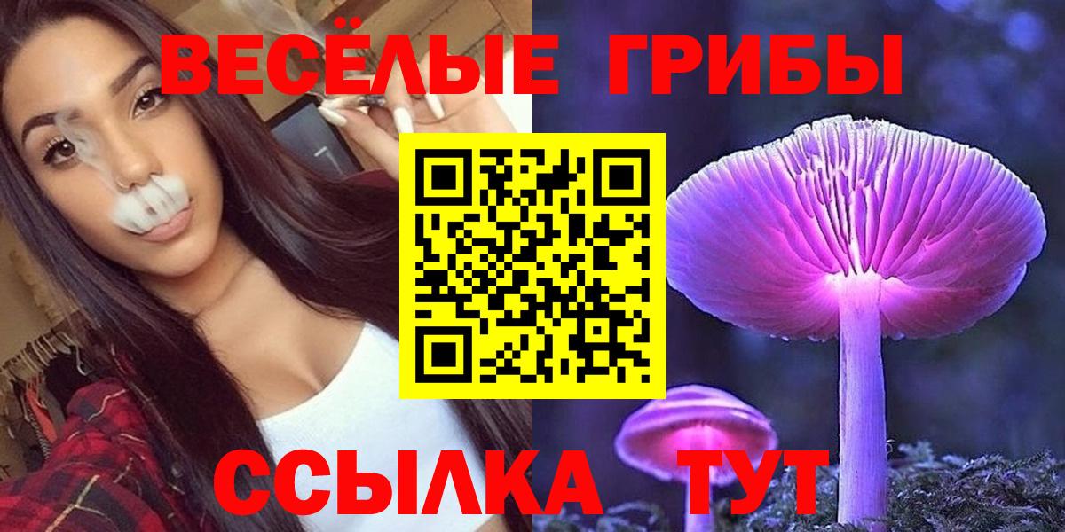 Галлюциногенные грибы Psilocybine cubensis Бахчисарай